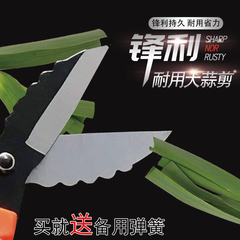 Shear garlic artifact knife scissors garlic scissors garlic scissors garlic scissors garlic root garlic agricultural onion ginger