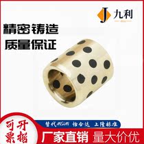 MPBZ20-9 10 12 12 16 16 19 20 25 25 Mithrice oil-free bush copper alloy standard