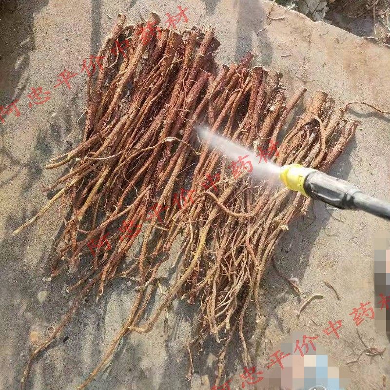 甘肃红皮甘草片泡水好喝吗？2026年甘草茶选圆切片还是干草更讲究？