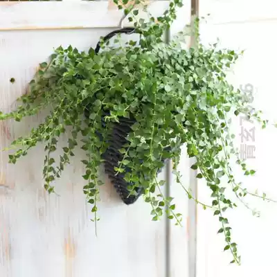 Flower pot creative personality indoor good-looking golden Ge flower basket woven basket European style dry flower pot garden wall