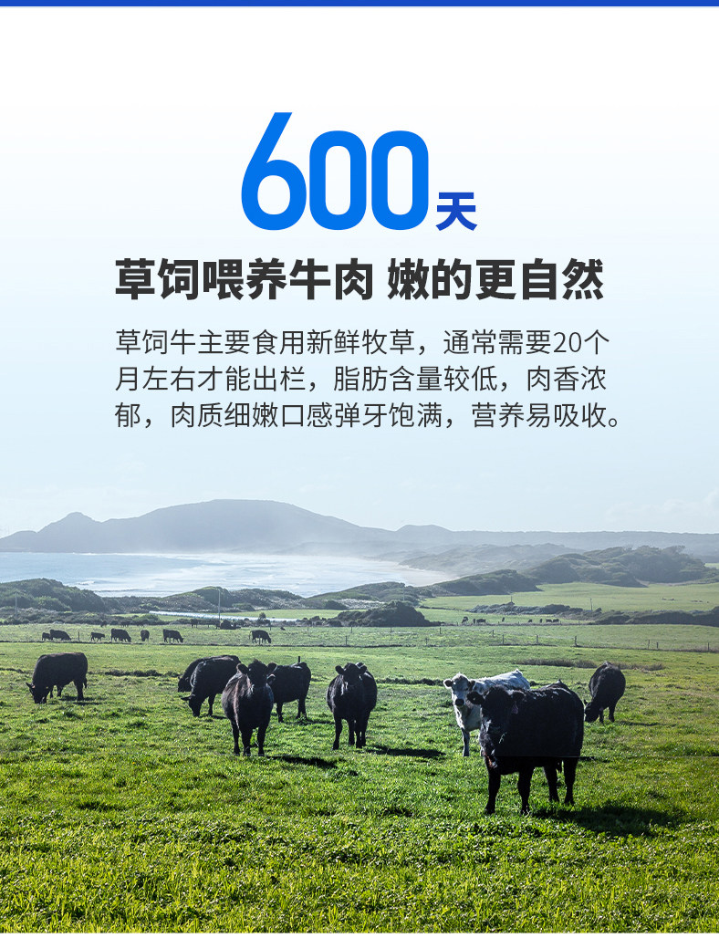 安格仕 原切轻腌牛排 10片 1300g 天猫优惠券折后¥129包邮(¥239-110)3款可选
