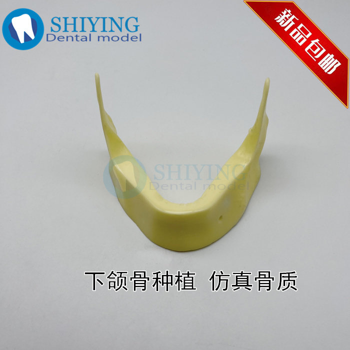 牙科练习下颌骨种植教学模型 钻孔仿真发泡骨质实操练习演示 2025