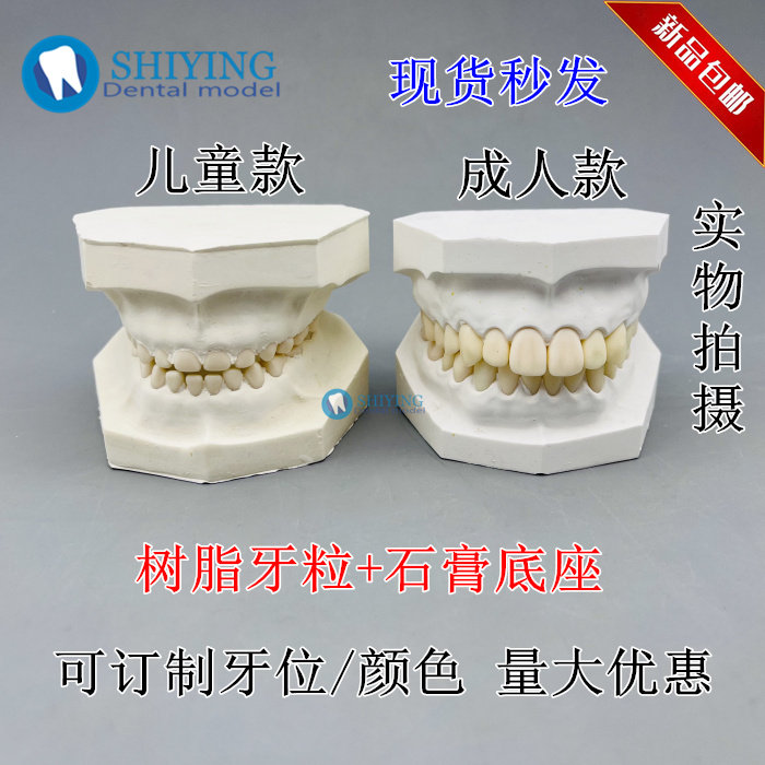 牙科28颗备牙练习模型 窝洞制备 石膏底座树脂牙齿 有牙/无牙石膏
