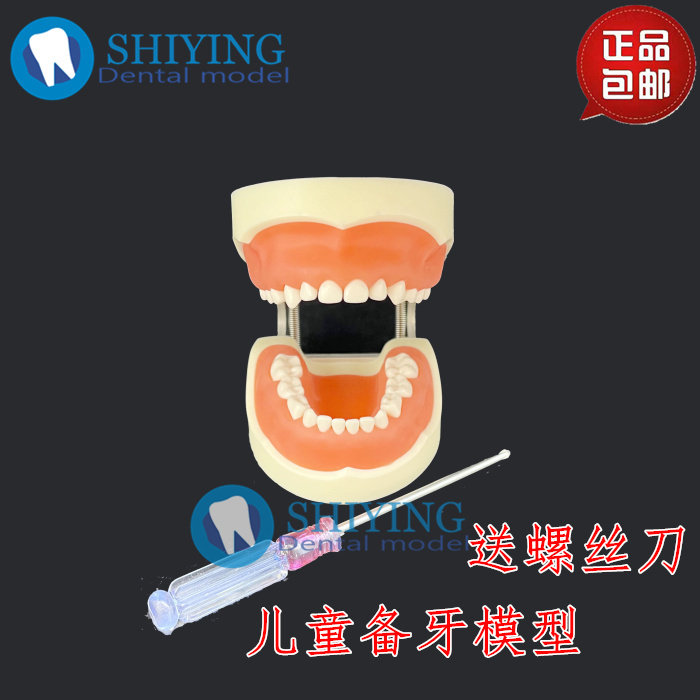 牙科口腔教学 儿童备牙模型 乳牙牙齿可拆换 24颗替换牙制备 包邮