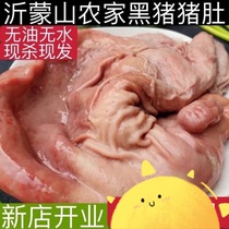 (now kill now) 4 fresh pork belly chicken black pig belly soil pork belly pork pig stomach without oil and water