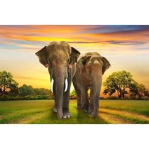 Original elephant decoration painting light luxury atmosphere office Fengshui murals simple living room restaurant hanging wall sticking