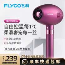 Feike electric hair dryer household negative ion hair care high power silent non-injury Cold hot air hair stylist Blower