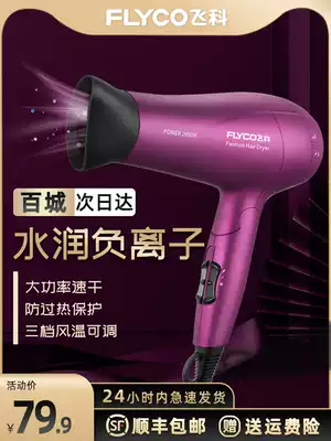 Feike hair dryer household high-power dormitory student negative ion hair care does not hurt the hair salon silent hair dryer tube