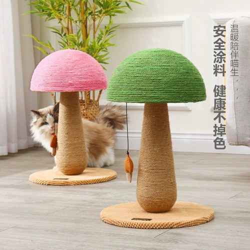 Грибная кошка хватает тарелку, устойчиво к перхоти, доска кошачьего кошачьего перхоти, мечи, шлифовальные той той продукты для кошек кошачь