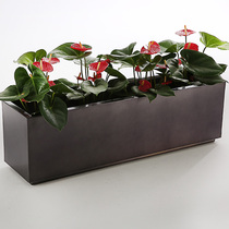 Stainless steel combination flower machine mall rectangular flower trough outdoor municipal road garden landscape flower pot metal flower box