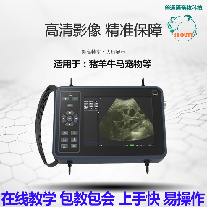 Beast-through beast with b super-machine animal bovine sheep horse portable HD pet with mother pig B ultra-detection pregnancy instrument
