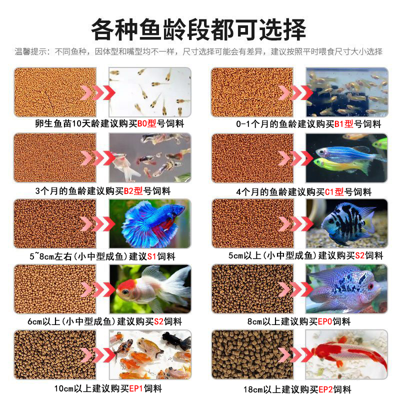 揭秘日清鱼饲料：如何让家中的小鱼儿健康成长的秘密武器