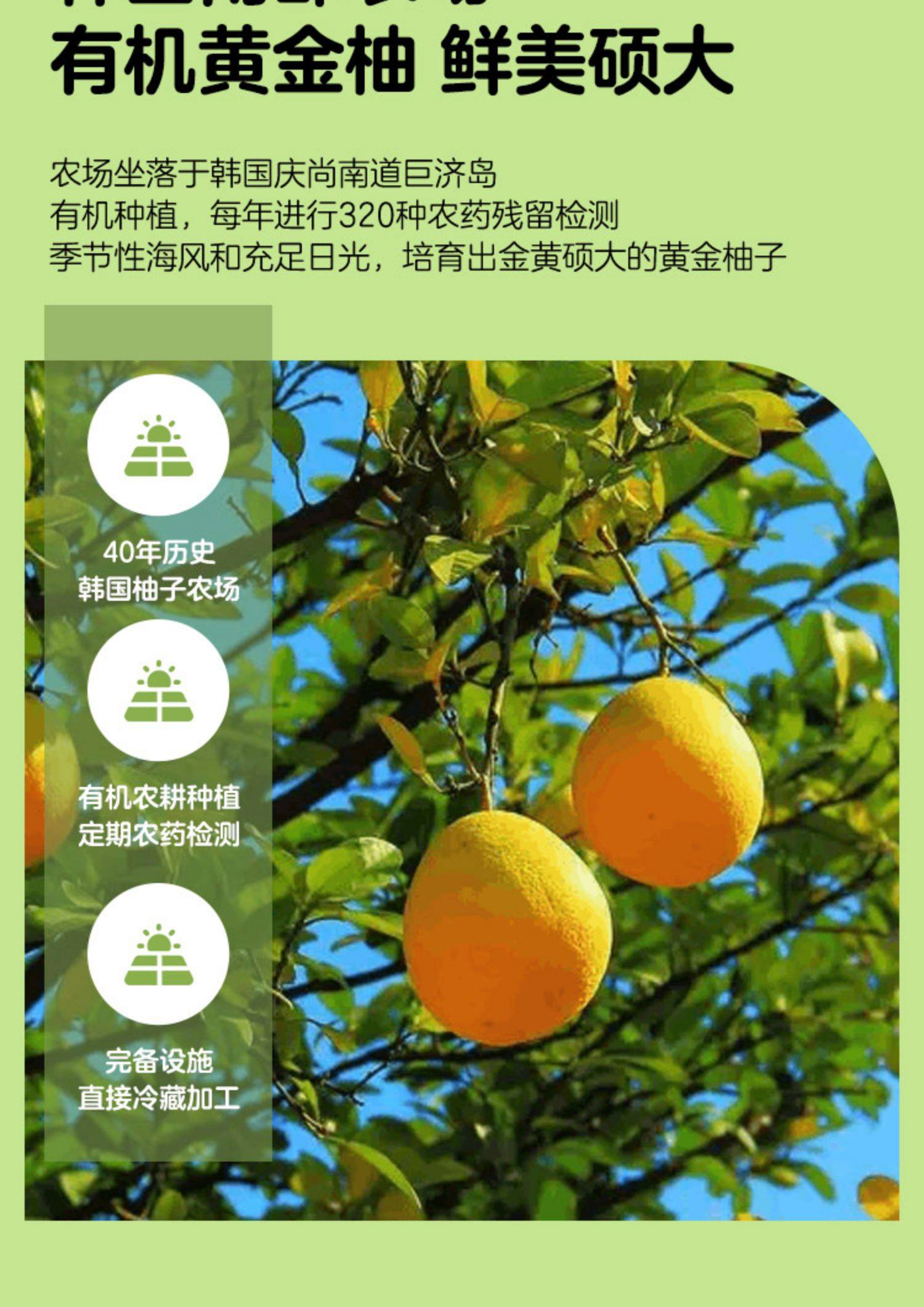 网易严选 韩国进口蜂蜜柚子茶 560g罐装 天猫优惠券折后￥24.9包邮（￥40.9-16）