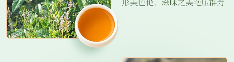 网易严选蜜桃白桃乌龙茶15袋*3g