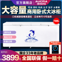 Auskoma BC BD-730 (N) Large Freezer Freezer Commercial Large Capacity Refrigerated Cabinet Frozen Horizontal Fridge