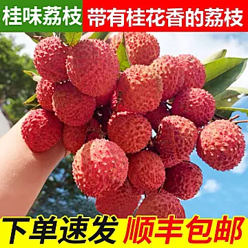 【顺丰包邮】桂味荔枝新鲜整箱糯米糍荔枝[20元优惠券]-寻折猪