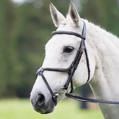 British Shires 8 shape Water Leatherette (Avignon) Xinrui Harness 8218087