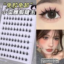 No glue and no removal~Xiao Man Yao false eyelashes new upper eyelashes photogenic false eyelashes natural large-capacity simulation