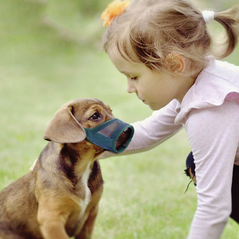 TARKY dog mouth cover to prevent random eating, bite mouth and bark Teddy Corgi dog mask small dog anti dog barking artifact