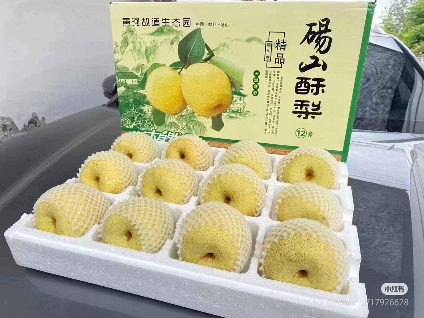 砀山特产农产品的LOGO