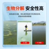 Дно дно воды, вода, настраивающая воду, разложение воды приманки осадка, дно пруда, черно -хрустящая вонючий рыбный пруд