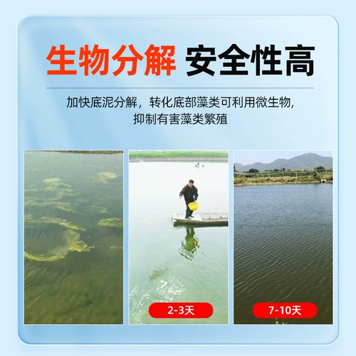 Дно дно воды, вода, настраивающая воду, разложение воды приманки осадка, дно пруда, черно -хрустящая вонючий рыбный пруд