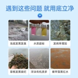 Дно дно воды, вода, настраивающая воду, разложение воды приманки осадка, дно пруда, черно -хрустящая вонючий рыбный пруд