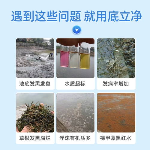 Дно дно воды, вода, настраивающая воду, разложение воды приманки осадка, дно пруда, черно -хрустящая вонючий рыбный пруд