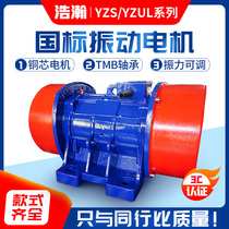 Vibration motor small vibration motor three-phase asynchronous vibrating screen motor 380V Rotary Vibration screen industrial vibration motor