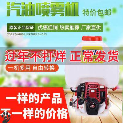 2021 New Backward Fruit Tree Agricultural Spray Pesticide High Pressure Pesticide Drug Copper Four Stroke Spray