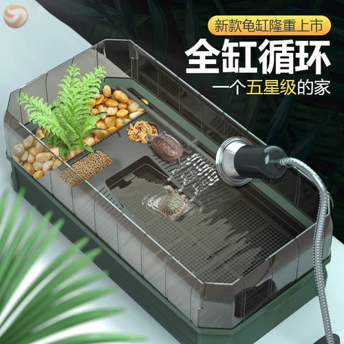 Демонная черепаха Специальная цилиндра Бразильская черепаха Смешанная черепаха Черепаха черепаха Вилла вода и земельный дом озеленение