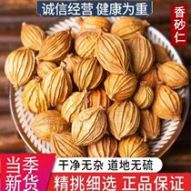 Fragrant Amomum villosum Chinese herbal medicine 500g Authentic Sichuan Amomum villosum new arrival Golden Amomum villosum Amomum villosum braised pork spice