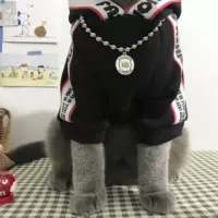 Нарричать кот британские щенки складывают ухо синий кот короткий медведь сноудан ткань ткань ткань