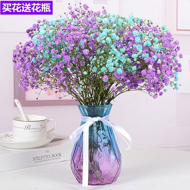  Teacher Natural Glass Bottle Table Mix Blue Sprinkle Cabinet Genuine Flower TV Cabinet Swing Terrace Full of Star Dried Flowers Pendulum 