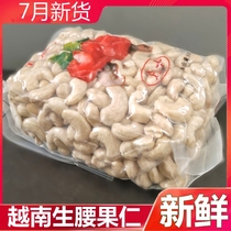 Vietnam Ba Po Raw Cashew Nuts 2024 New Arrival Fresh Raw Nuts for Pregnant Women Imported Original No Additives Dry Cashew Nuts