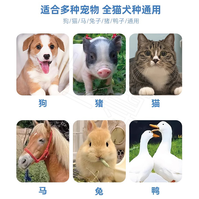 手持远红外线理疗灯：宠物电烤灯，产后恢复神器，猫咪狗狗消炎止痛热敷神灯