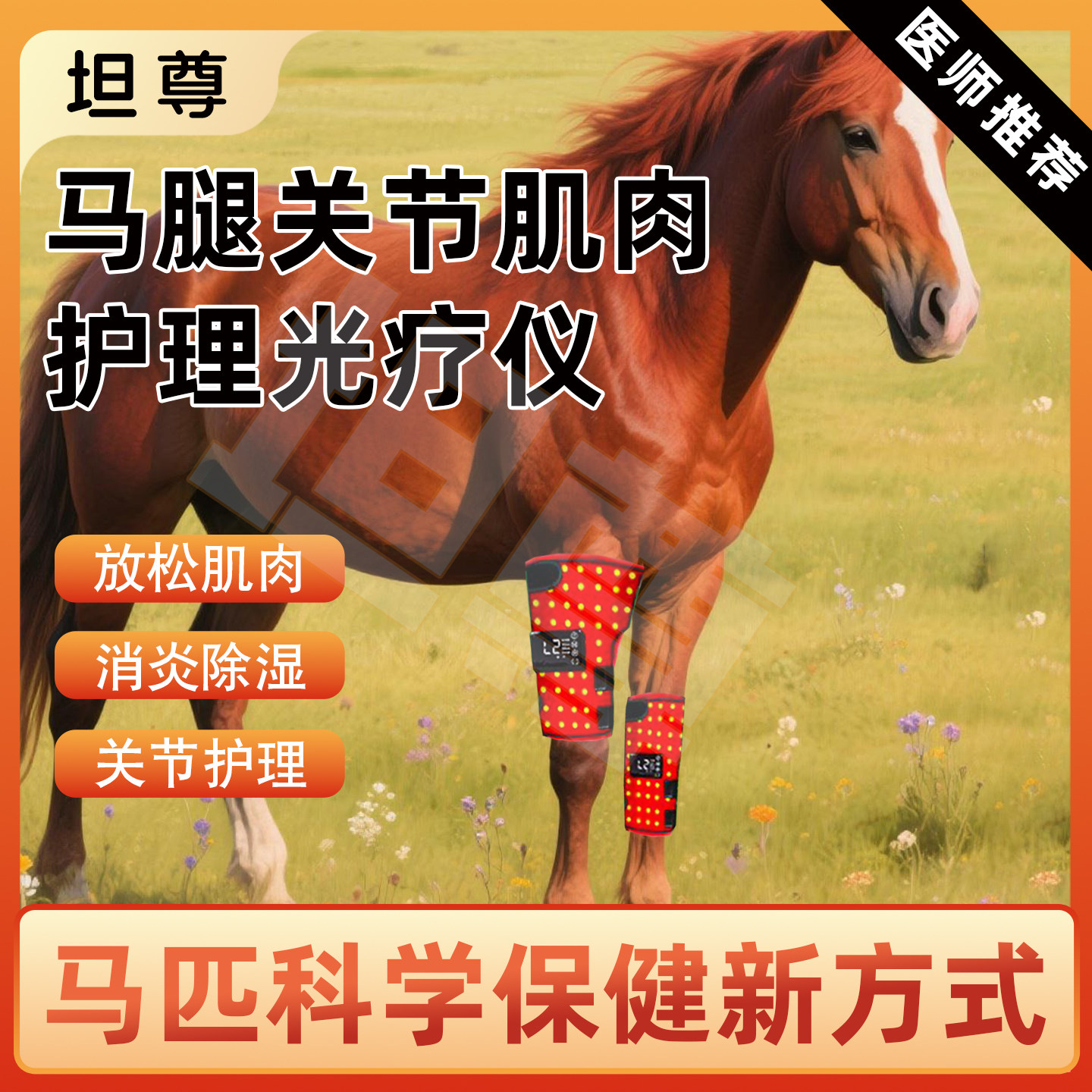 宠物红光理疗垫马腿关节肌肉损伤仪热敷骨折抗炎愈合红外线理疗垫
