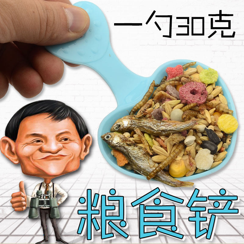 Hamster supplies Mouse life house Food feed spoon Hamster food spoon Hamster feeding spoon Small hamster spoon