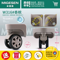 W316#Champagne Color 1 Set