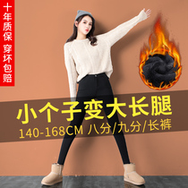 Short WARM PANTS 150 80% BEATS BOTTOM PANTS WOMAN OUTSIDE WEARING PLUS SUEDE THICKENED BLACK HIGH WAIST TIGHT FIT SMALL FEET 90%
