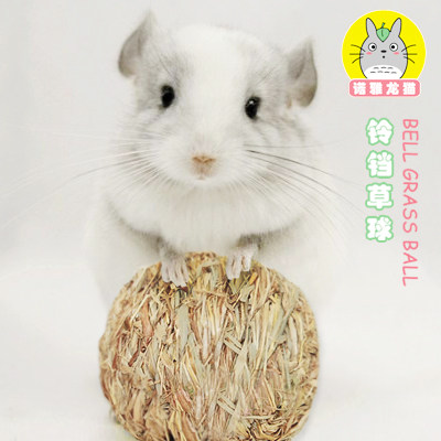(NOYA Chinchilla) Small animal molar toy Chinchilla rabbit devil squirrel guinea pig bell grass ball