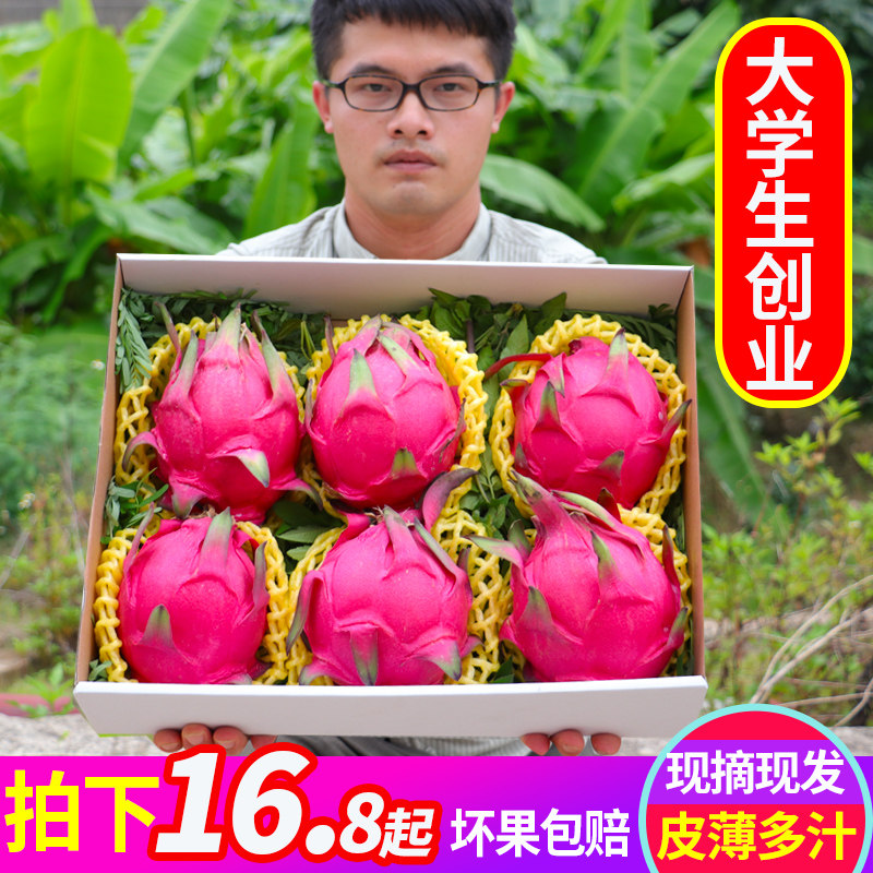 Red heart dragon fruit red meat with box 5 pounds of large fruit 10 fresh fruits in the season should be picked on the first day of the season
