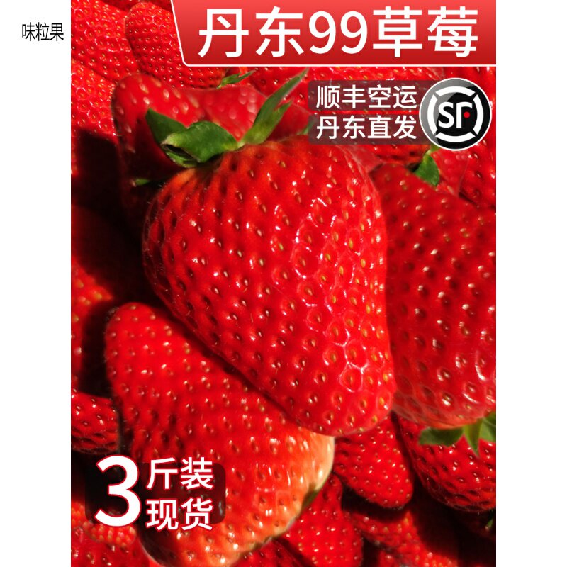 Zhengzong Dandong 99 strawberry new fresh milk 99 now remove the large strawberry red Yan pregnant woman for the season fruit 3 kilos