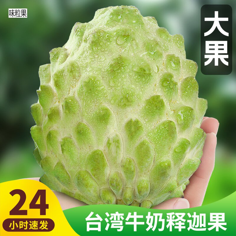 Milk Phoenix Pear Sakago 5 catties of fresh lychee Buddha head Mornefruit when season fruit whole box 10 Lin