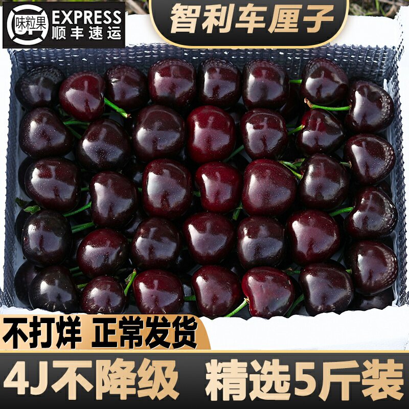 Great Cherry Fresh Fruit 5 Catties Dalian Beauty Morning Great Cherry 10 When Season Whole Box Gift Box 4j Pregnant Woman 3