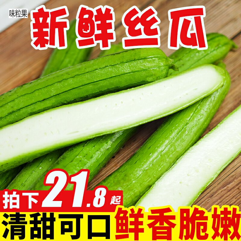 Pure fragrant fruit Shandong Shouguang silk melon 5 catty fit fresh when season wins melon farmhouse self-planted green leather vegetable melon pregnant woman vegetables 3