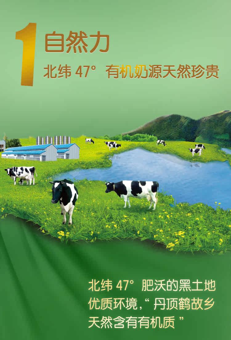 Chunyu 3_03.jpg