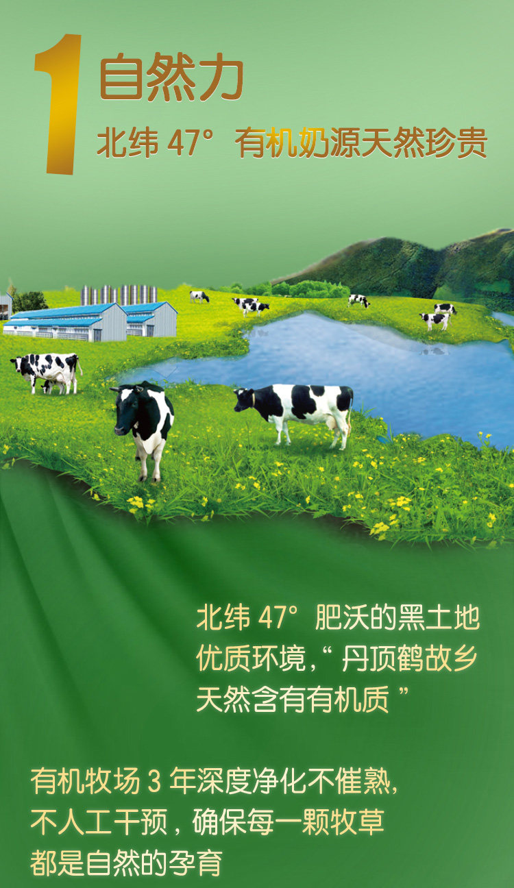 Chunyu 2_04.jpg