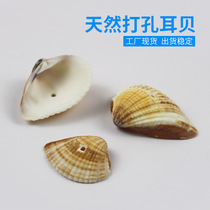 Factory Price Direct Selling Natural Shells Sea Snail Perforated Earbe handmade diy clothes accessories Process necklace material One catty