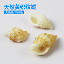 Factory Price Direct Selling Natural Small Sea Snail Shells Yellow Textured Snails Fish Tank Building Aquarium Decoration Handmade Diyly